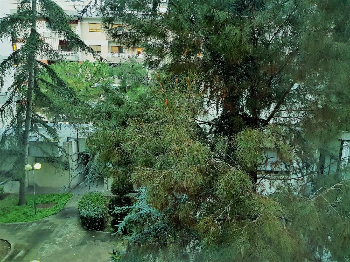 B&B 1984 Μπάρι Εξωτερικό φωτογραφία